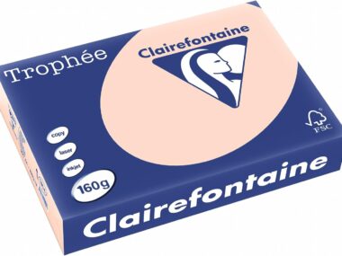 TROPHEE SALMON A-3 80 g