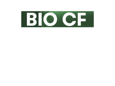OFFSET GAMA BIO